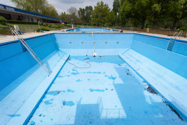 Best Basement water damage restoration  in Andrews, IN