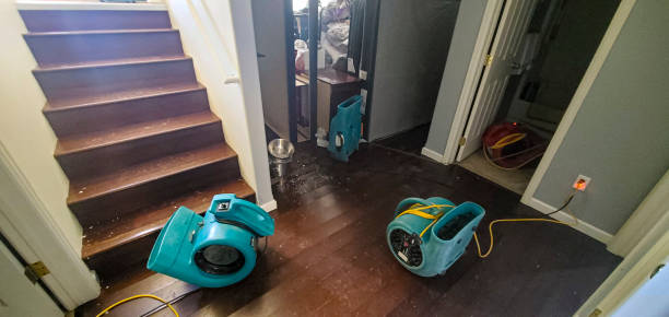 Best Sewage cleanup and water damage restoration  in Andrews, IN