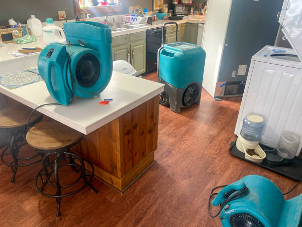 Best Sewage cleanup and water damage restoration  in Andrews, IN