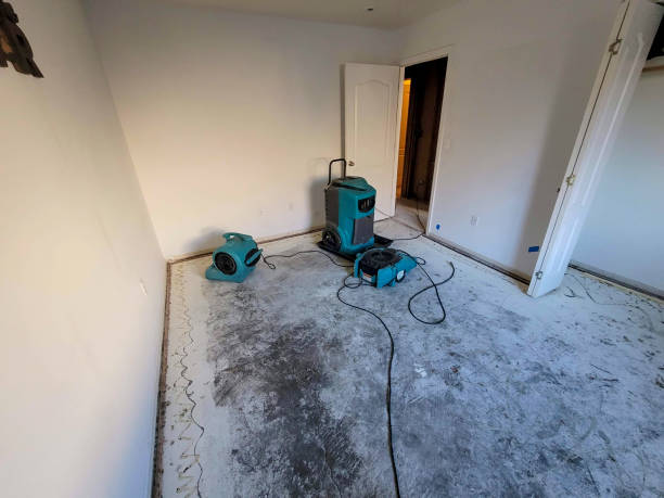 Best 24/7 water damage repair  in Andrews, IN