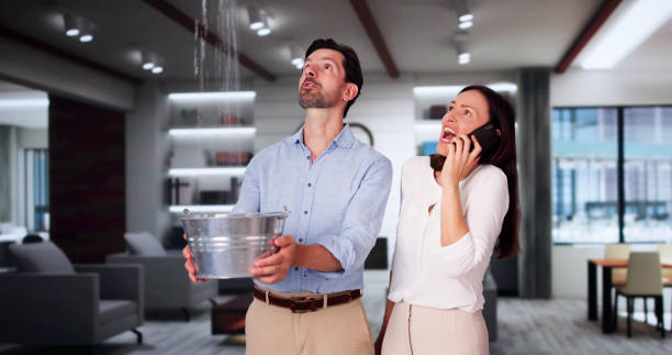 Best Carpet water damage restoration  in Andrews, IN